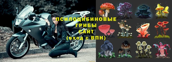 мяу мяу мука Армянск