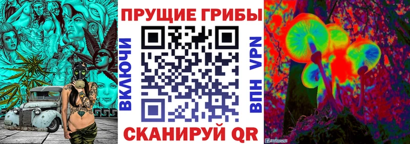 Псилоцибиновые грибы Magic Shrooms Углегорск